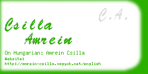 csilla amrein business card